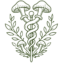 Cogumelo Medicinal